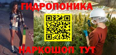 2c-b Кимры