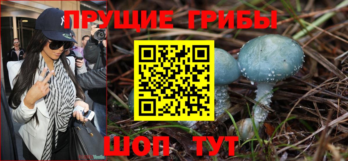 Строитель  Псилоцибиновые грибы MAGIC MUSHROOMS  Вход с VPN  Галлюциногенные грибы мухоморы 