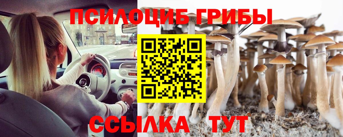 Галлюциногенные грибы MAGIC MUSHROOMS Строитель